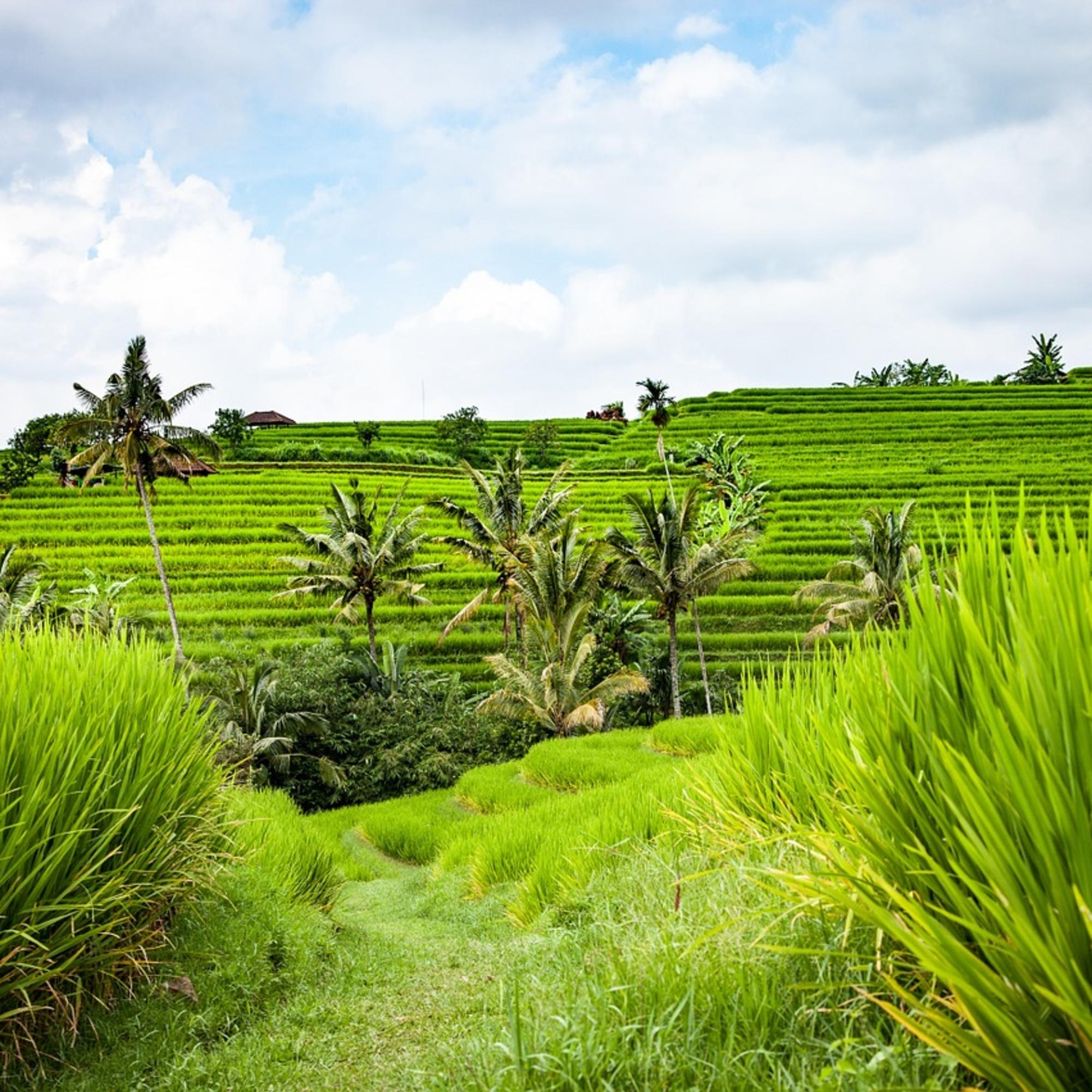 Bulgari Resort Bali