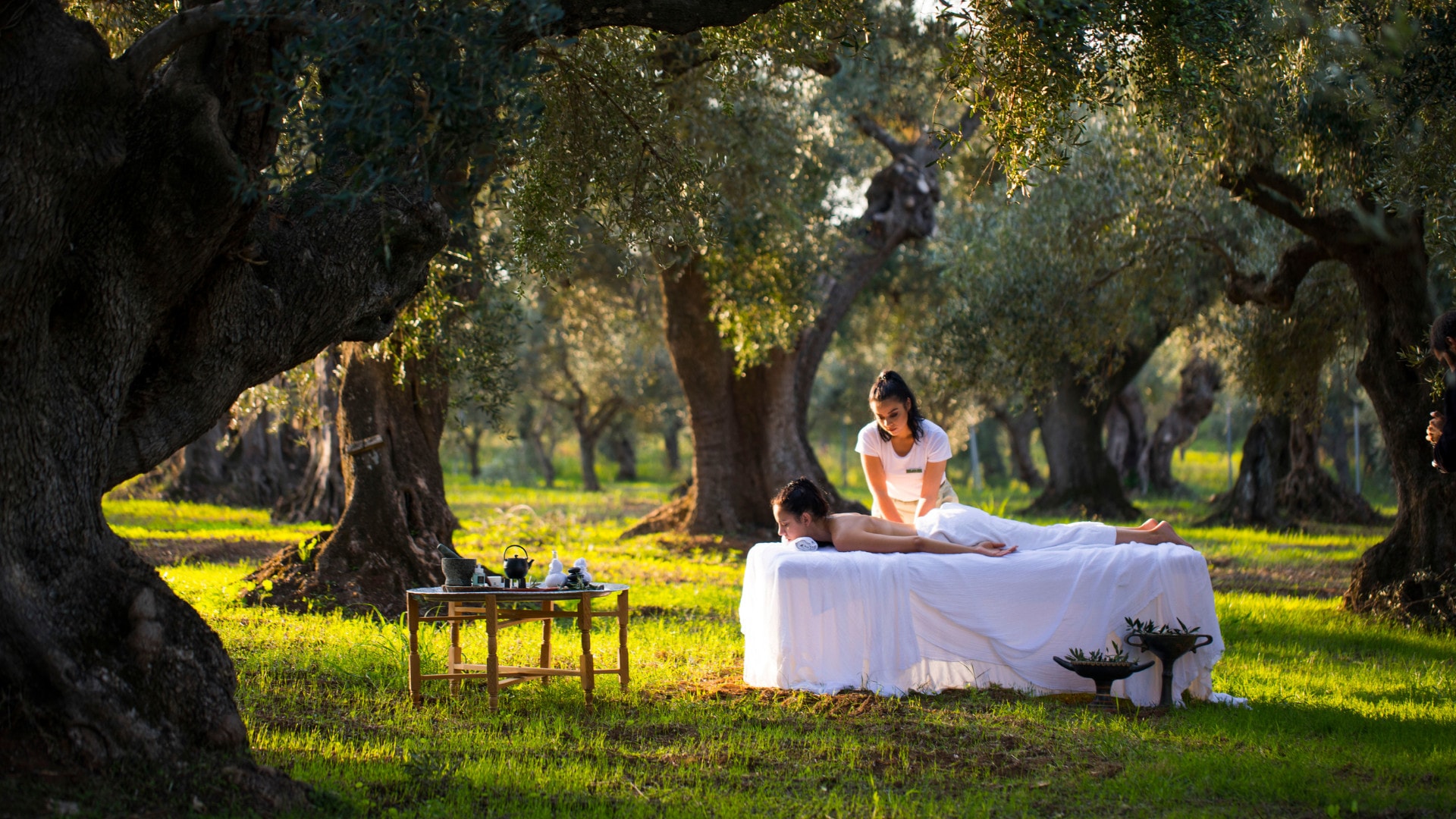 Costa Navarino