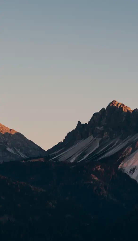 Forestis Dolomites