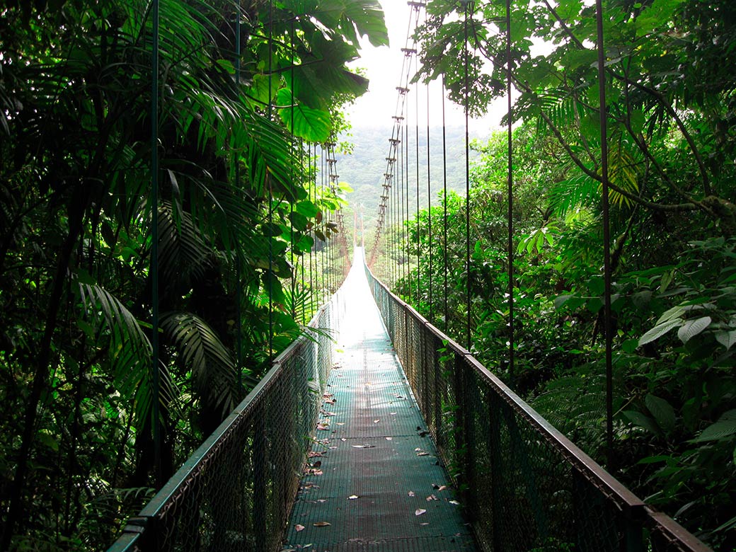 Nayara Springs