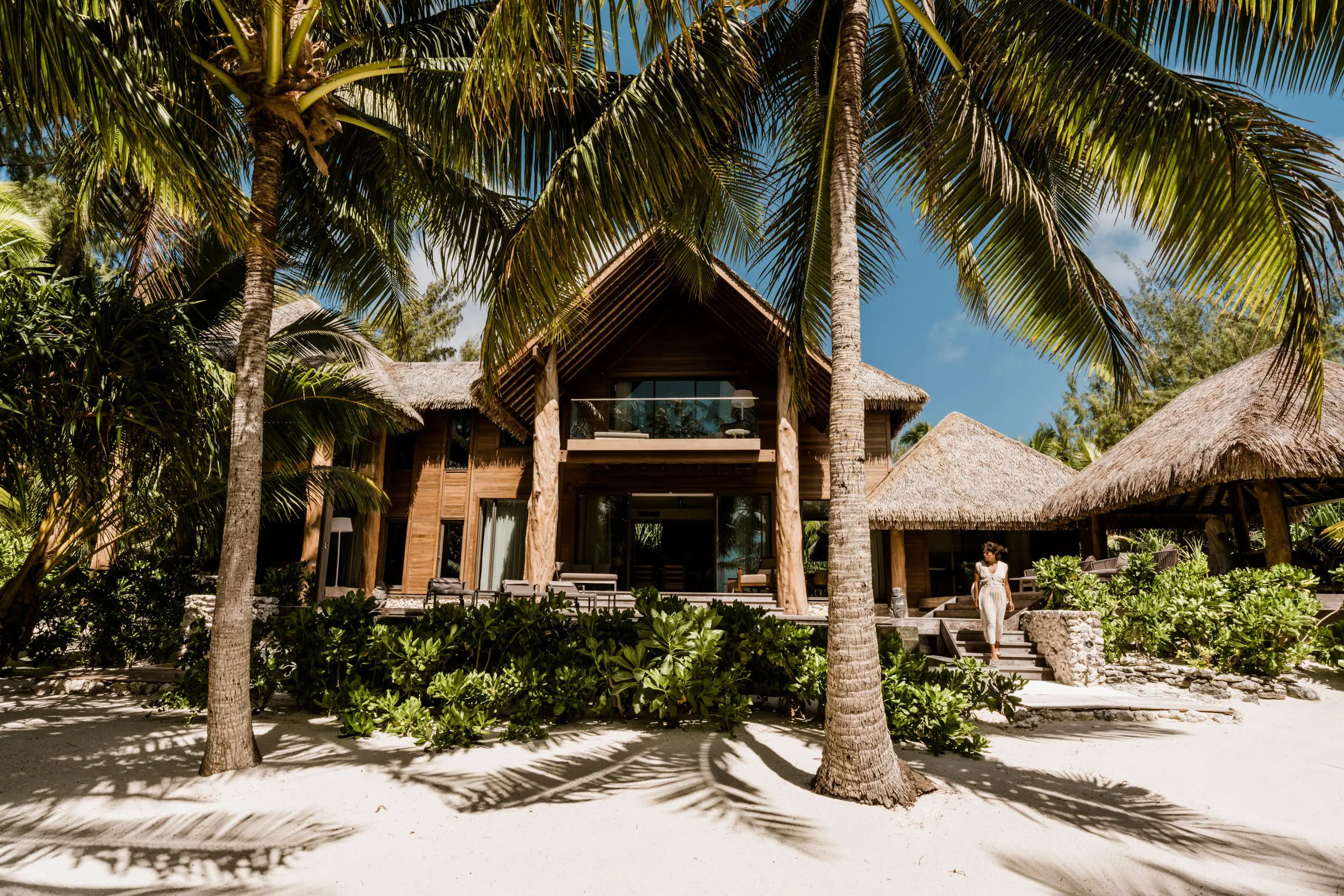 The Brando