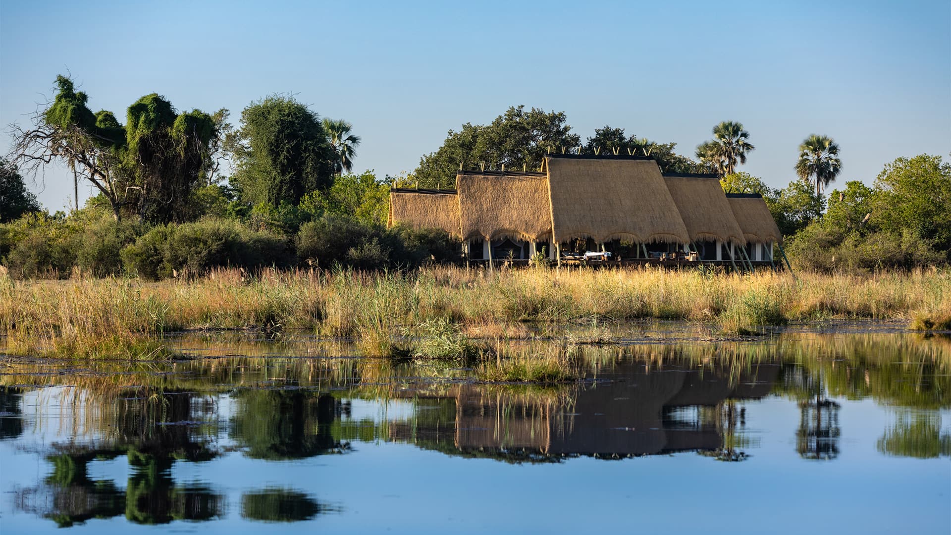 Zamara Private